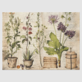 Papel De Seda Fresa de color beige vintage natural