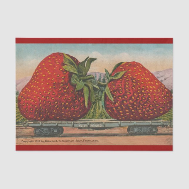Papel De Seda Fresas Gigante Fruto de la Antigüedad (Anverso)