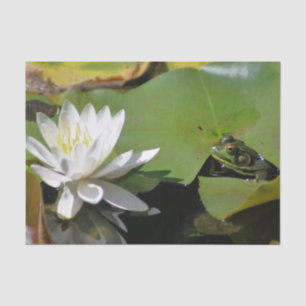 Papel De Seda Frog Admirando a Water Lily Decoupage