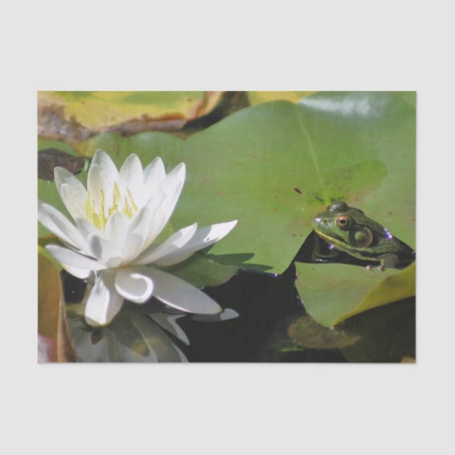 Papel De Seda Frog Admirando a Water Lily Decoupage (Anverso)