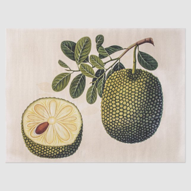 Papel De Seda Fruta y oliage durión (Anverso)