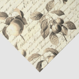 Papel De Seda Frutas Botánicas Vintage Beige con Letra Cursiva