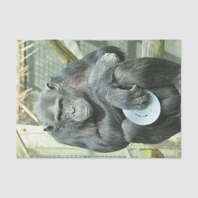 PAPEL DE SEDA FUNNY CHIMP (Anverso)