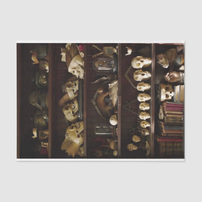 Papel De Seda Gabinete de Curiosidades Skulls (Anverso)