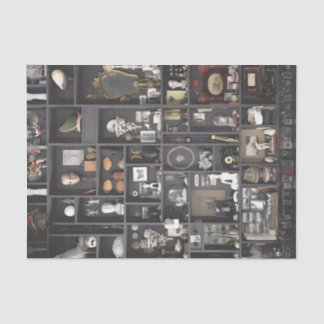 Papel De Seda Gabinete de estantes de curiosidades