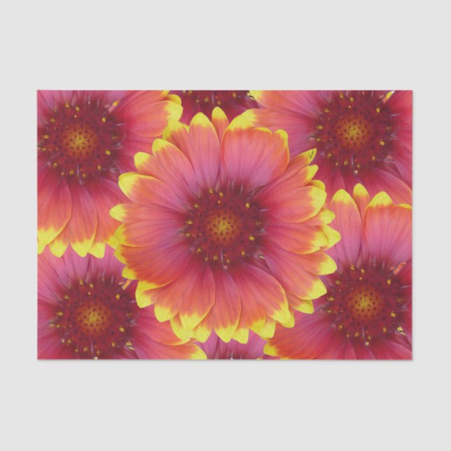 Papel De Seda Gaillardia 1 (Anverso)