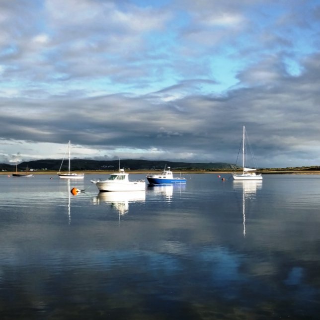PAPEL DE SEDA GALES (Subido por el creador)