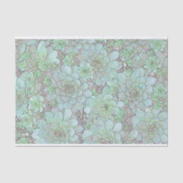 Papel De Seda Gallinas