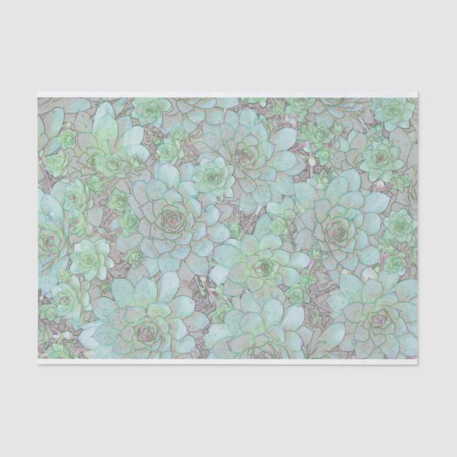 Papel De Seda Gallinas (Anverso)