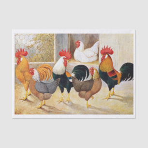 Papel De Seda Gallos, gallinas y pollos de la finca