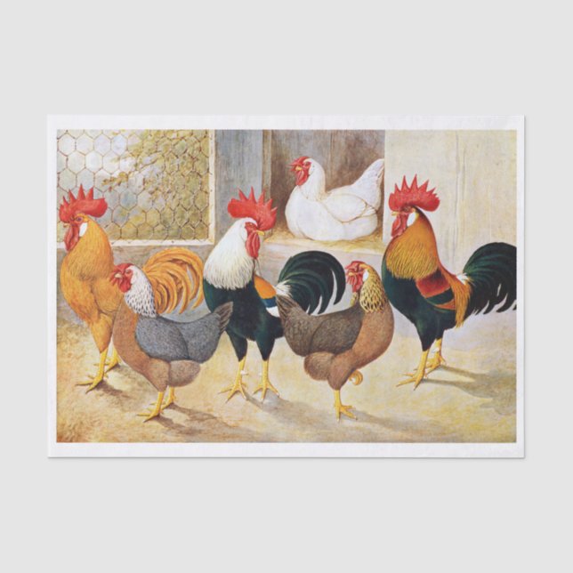 Papel De Seda Gallos, gallinas y pollos de la finca (Anverso)