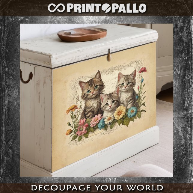 Papel De Seda Gatito lindo en composición floral - (Subido por el creador)