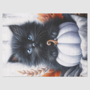 Papel De Seda Gatito negro con calabaza blanca de Halloween