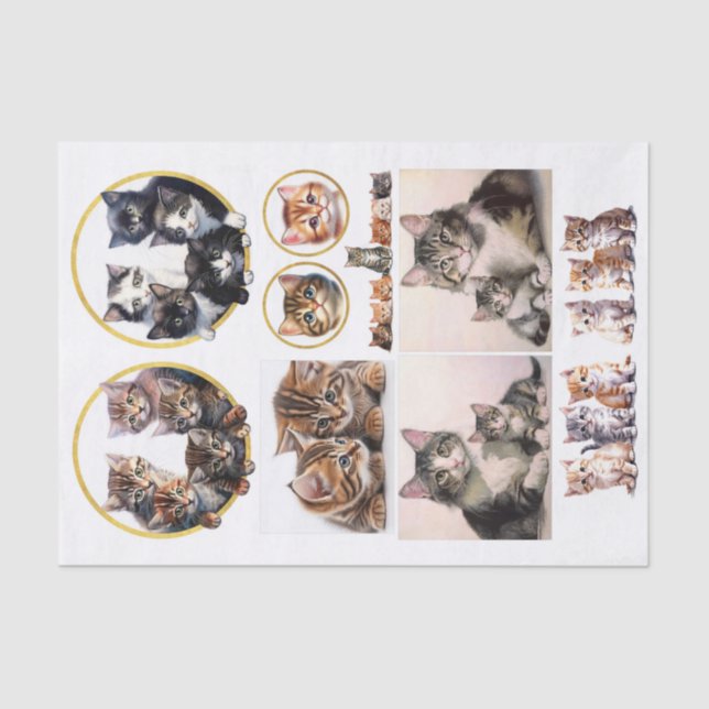 Papel De Seda Gatitos al estilo de Helena Maguire (Anverso)