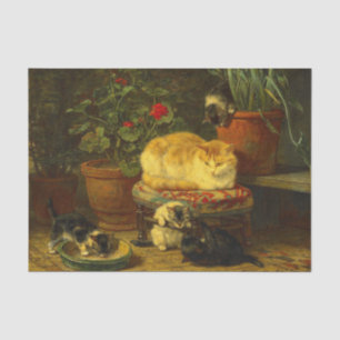 Papel De Seda Gatitos en juego