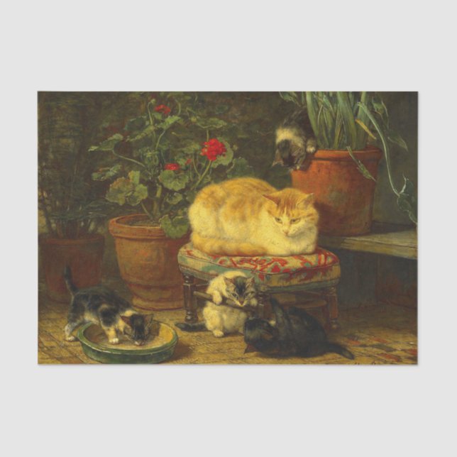 Papel De Seda Gatitos en juego (Anverso)