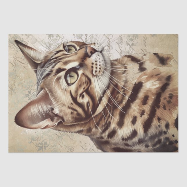 Papel De Seda Gato Bengal (Anverso)