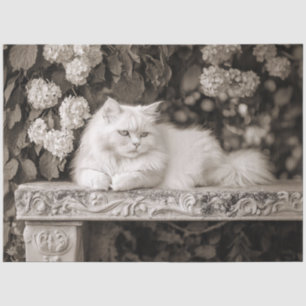 Papel De Seda Gato Blanco en el Jardín de Flores Decoupage