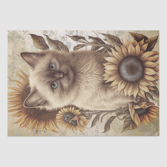Papel De Seda Gato de girasol de gatito balinés (Anverso)