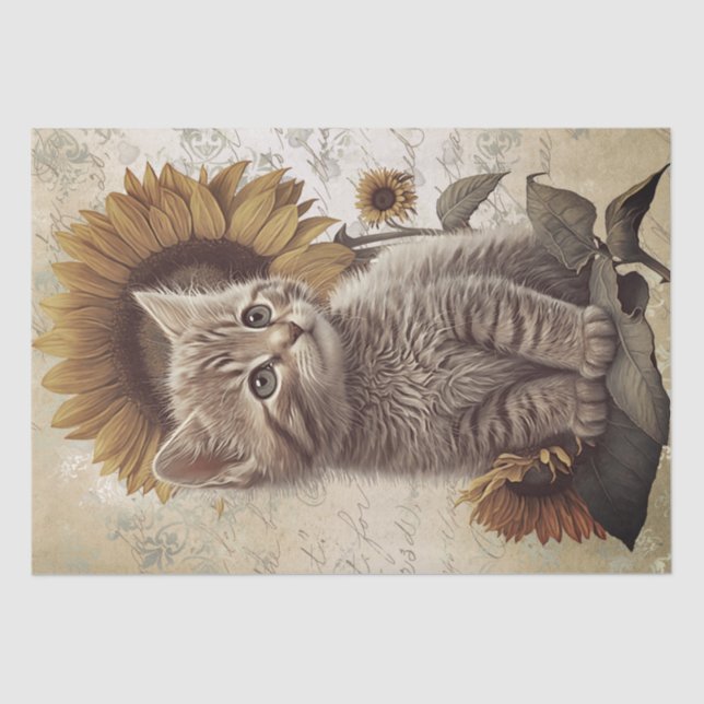 Papel De Seda Gato de girasol de Kitten (Anverso)