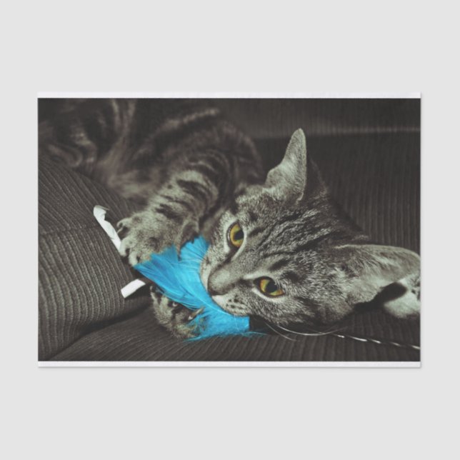 Papel De Seda Gato de Tabby con pluma de Shirley Taylor (Anverso)