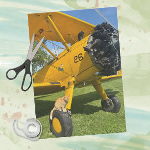 Papel De Seda Gato Divertido Se Sienta Avión Humor Aviación Rega