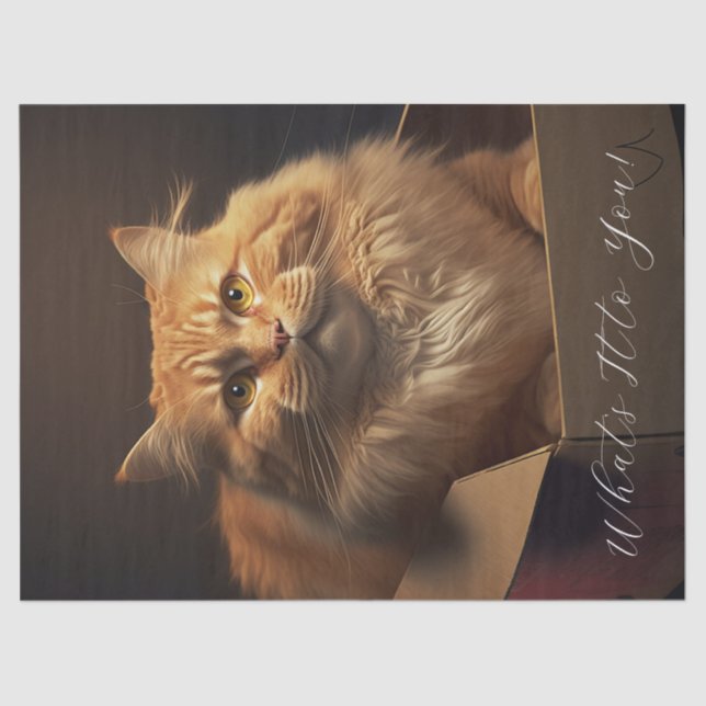 Papel De Seda Gato En La Caja De Zapatos - Gato Sarcástico (Anverso)