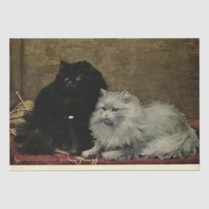 Papel De Seda Gato Ephemera Desnuda Persia Blanca Negra