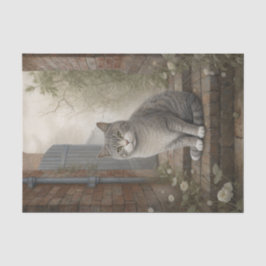 Papel De Seda Gato Gris Kitty Bonito