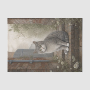 Papel De Seda Gato Gris Kitty Bonito