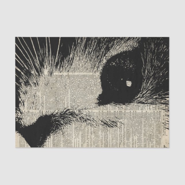 Papel De Seda Gato lindo, plantilla preciosa del gatito sobre la (Anverso)