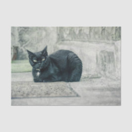 Papel De Seda Gato Negro Bonito Antiguo Decoupage Antiguo