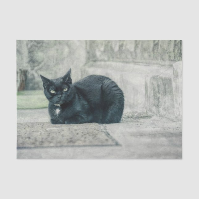 Papel De Seda Gato Negro Bonito Antiguo Decoupage Antiguo (Anverso)