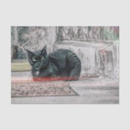 Papel De Seda Gato Negro Bonito Vintage Antiguo Arte de Estilo A