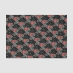 Papel De Seda Gato negro de Halloween