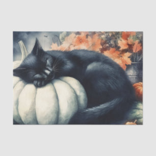 Papel De Seda Gato Negro Durmiendo en una Calabaza Blanca Decoup