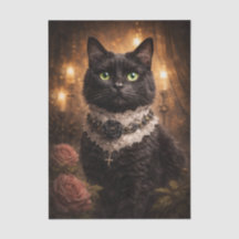 Gato negro elegante 