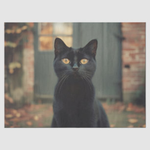 Papel De Seda Gato Negro en el Decoupage Escénico de Otoño