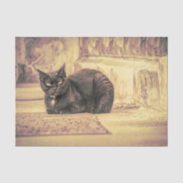 Papel De Seda Gato Negro Lindo Vintage Antiguo Arte Sepia