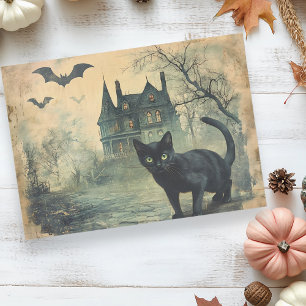Papel De Seda Gato Negro Vintage Halloween Decoupage 