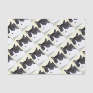 Papel De Seda Gato negro y blanco