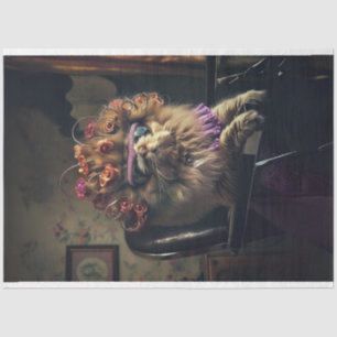 Papel De Seda Gato persa en una página web de belleza
