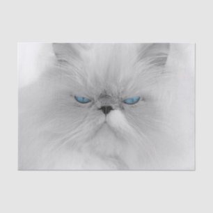 Papel De Seda Gato persa malhumorado