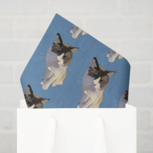 Papel De Seda gato Ragdoll, azul polvoriento