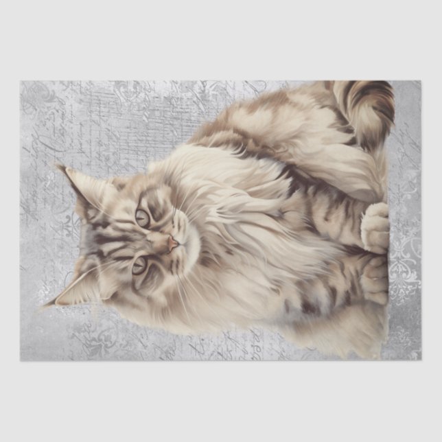 Papel De Seda Gato siberiano (Anverso)