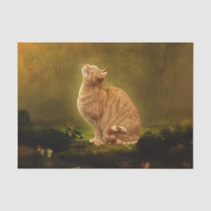 Papel De Seda Gato y hada