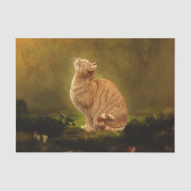 Papel De Seda Gato y hada (Anverso)