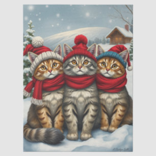 Papel De Seda Gatos con atuendo de invierno y Gorras en invierno