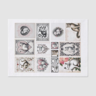 Papel De Seda Gatos de bonito y cortes de las convulsiones del c