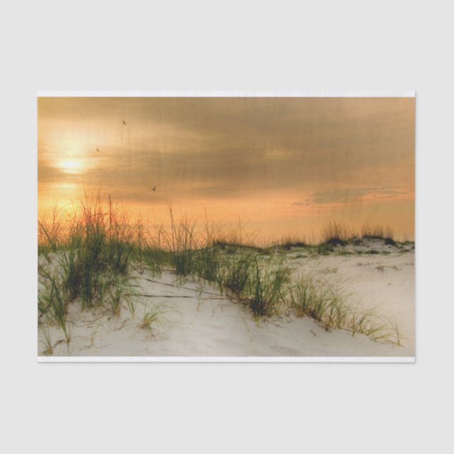 Papel De Seda Gaviotas al amanecer (Anverso)